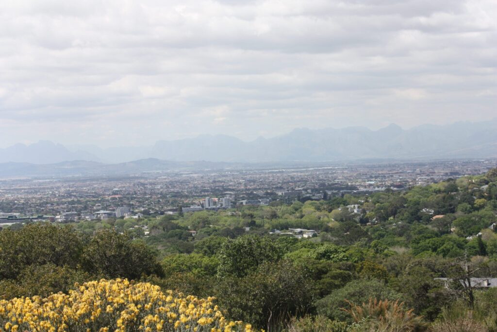 Landscape