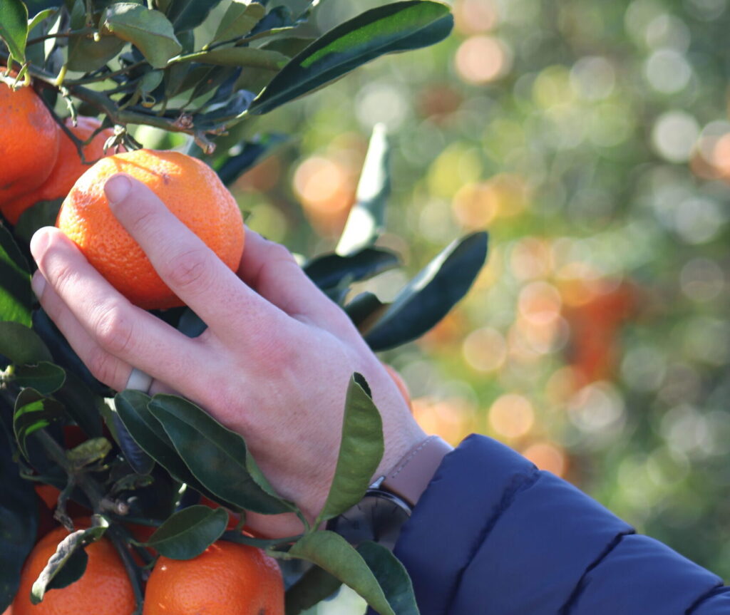 fruitful trials