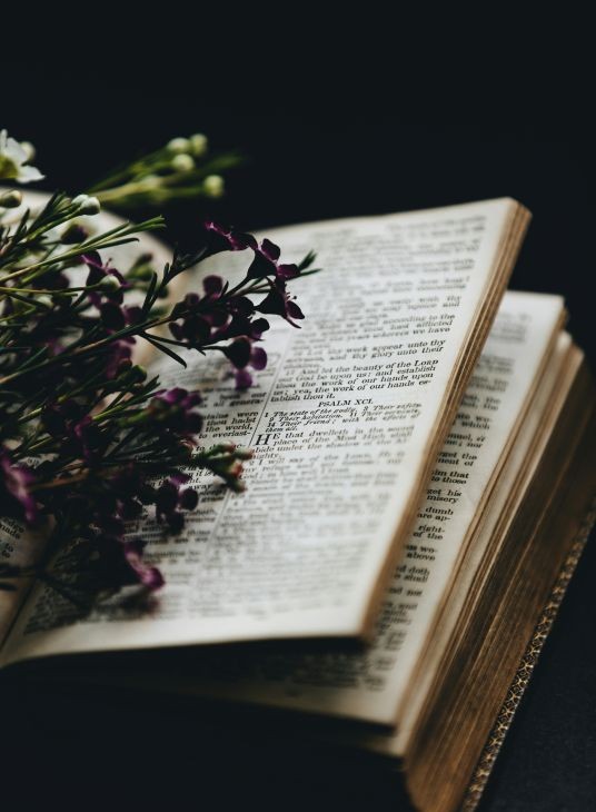 Lavender Open Bible