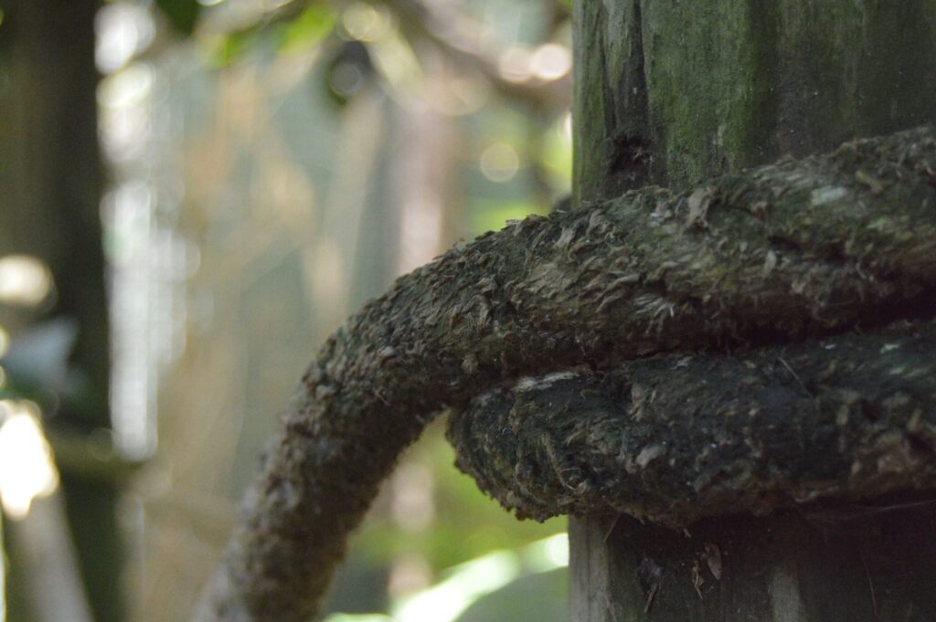 puppet rope