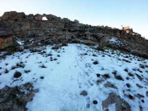 Footsteps